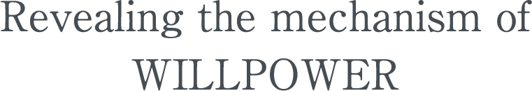 Revealing the mechanism of WILLPOWER