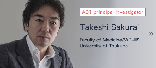 Takeshi Sakurai